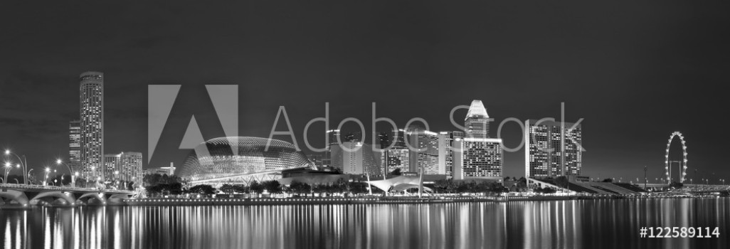 Picture of Skyline of Singapore city at night